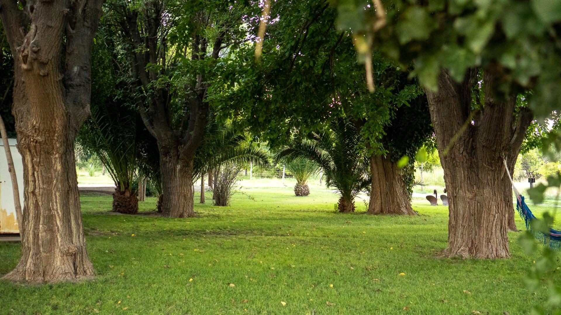 Inn El Alcornoque San Rafael (Mendoza)