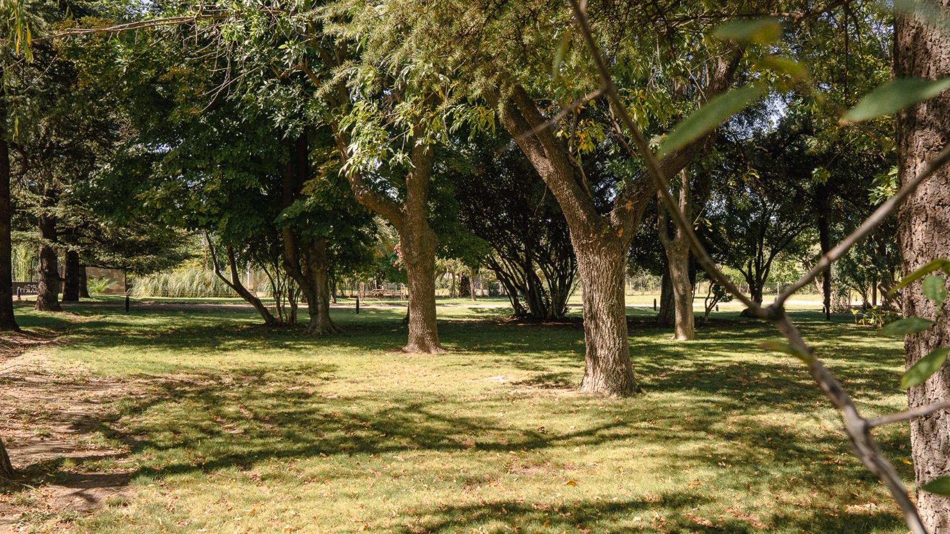 El Alcornoque Inn San Rafael (Mendoza)